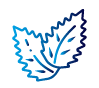 Leaf Icon