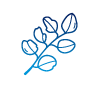 Leaf Icon